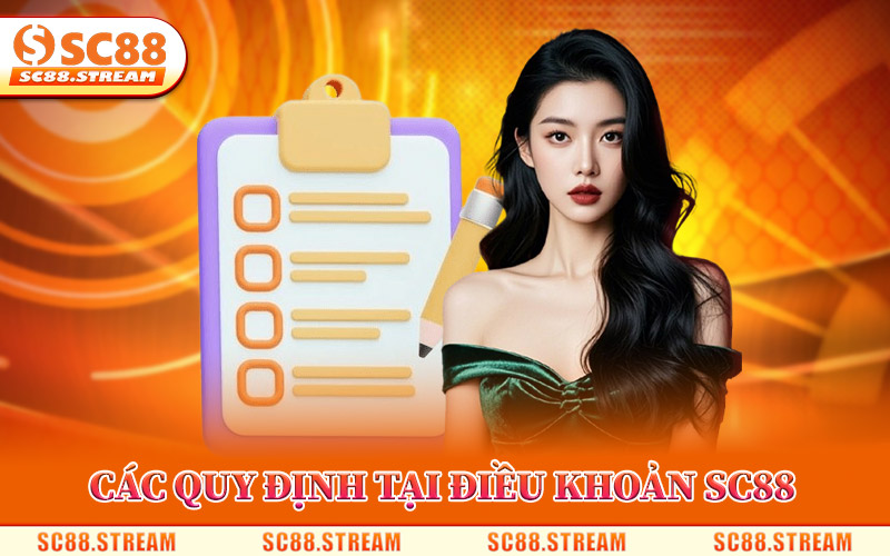 Điều Khoản SC88 – Các Quy Định Quan Trọng Khi Sử Dụng 2 Các Quy Định Chính Tại Điều Khoản SC88